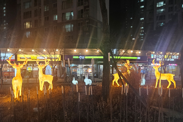 600DEER1.jpg