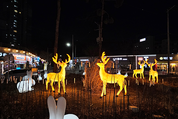 600DEER3.jpg